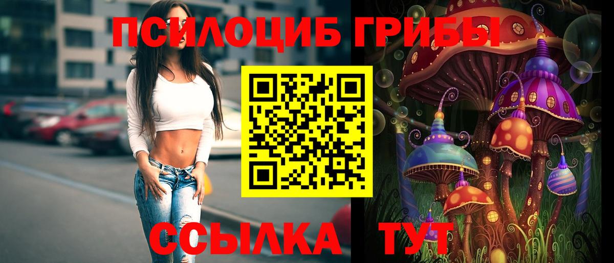 Галлюциногенные грибы Psilocybine cubensis  Вход с VPN  Протвино 