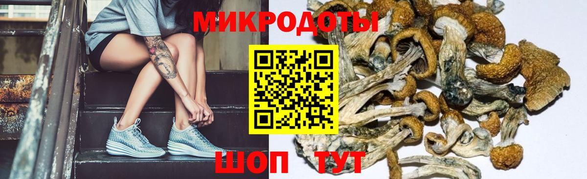 Псилоцибиновые грибы ЛСД Протвино
